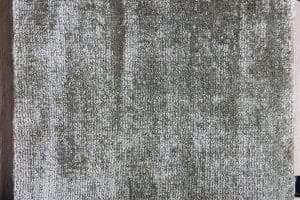 Vloerkleed Essence - kleur Grey - 03 - www.afrit29.nl