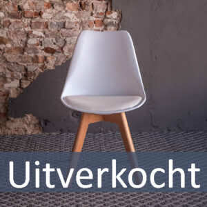 Evgeny wit stoel.