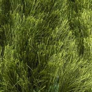 Vloerkleed Arezzo in de kleur 474 staal.